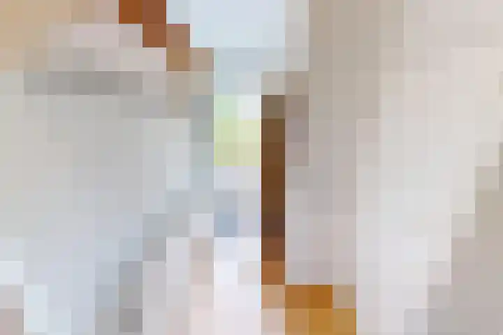 Flamingohof 15 Bovenkarspel thumbnail 9