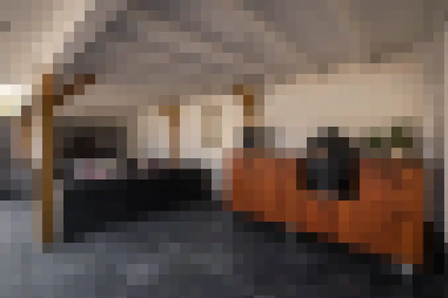 Flamingohof 16 Bovenkarspel thumbnail 37