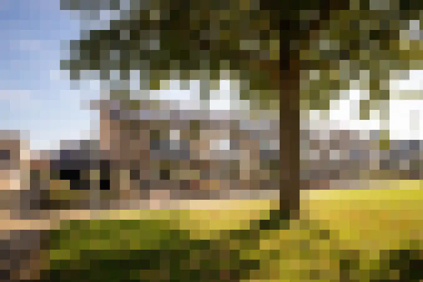 Flamingohof 16 Bovenkarspel thumbnail 46