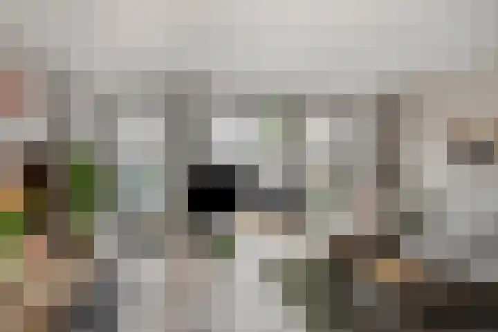 Flamingokade 10 Groningen thumbnail 10