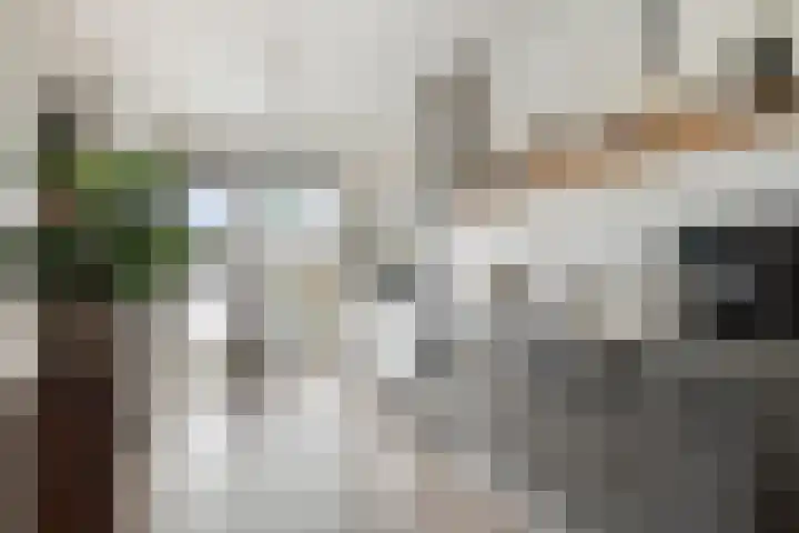 Flamingokade 10 Groningen thumbnail 16