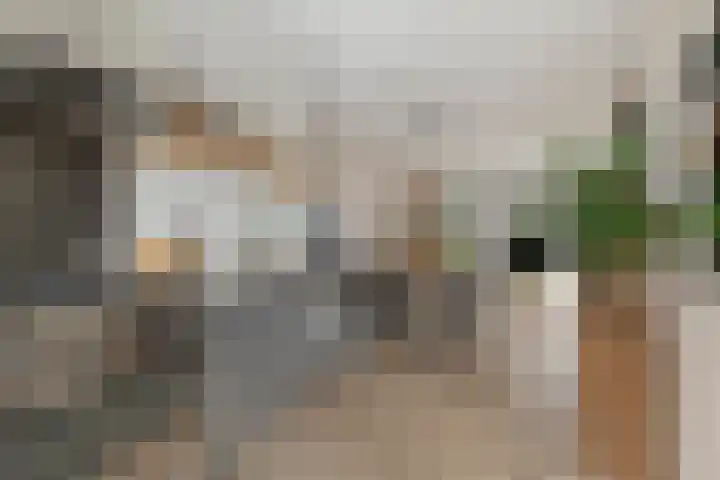 Flamingokade 10 Groningen thumbnail 17