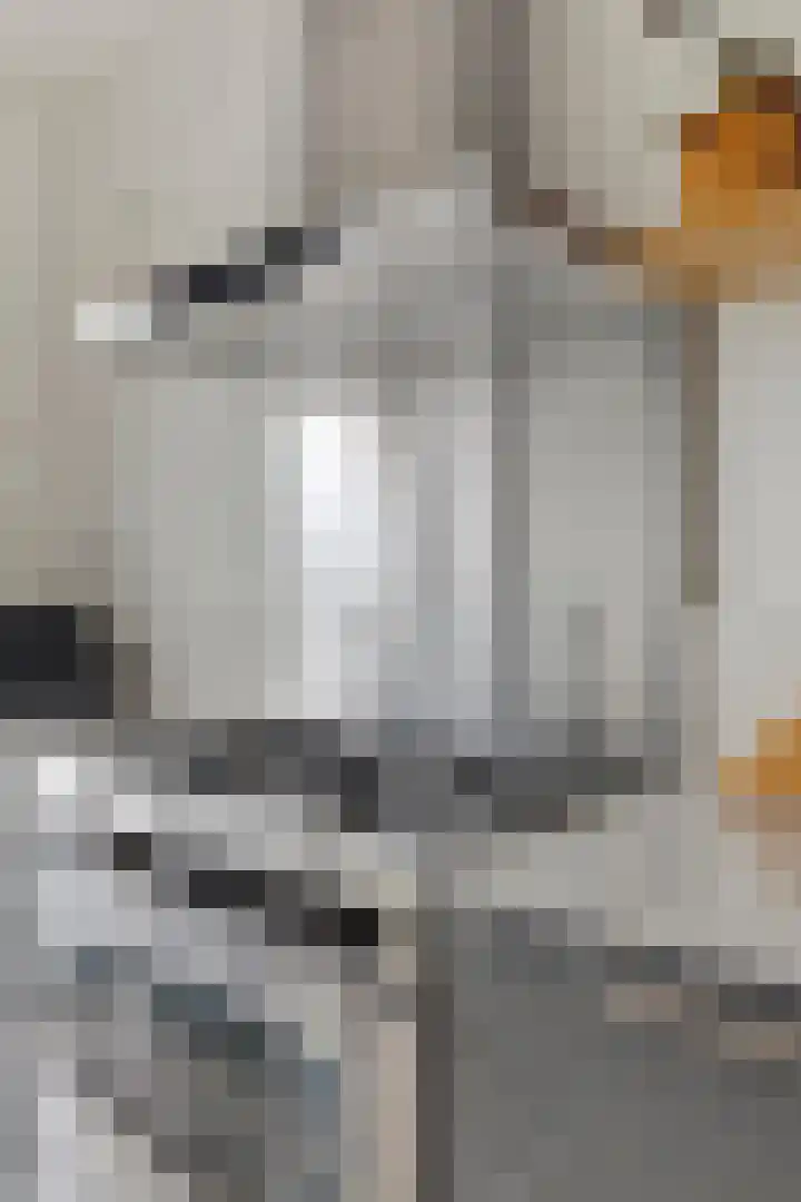 Flamingokade 10 Groningen thumbnail 19