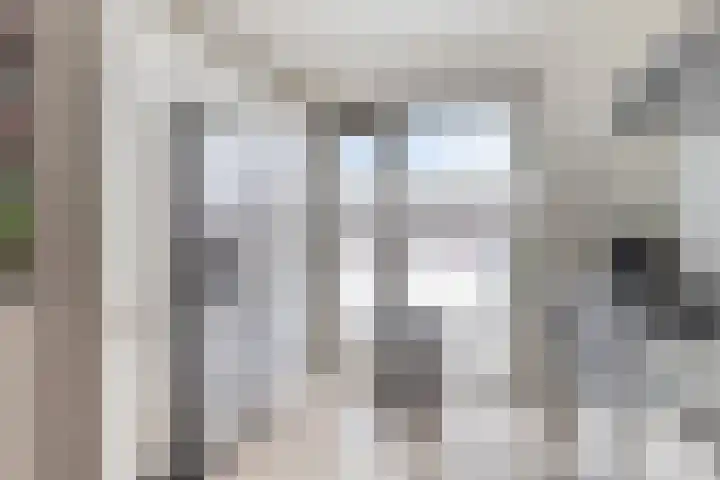 Flamingokade 10 Groningen thumbnail 21