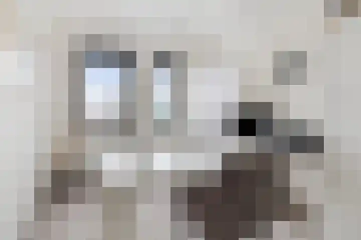 Flamingokade 10 Groningen thumbnail 28