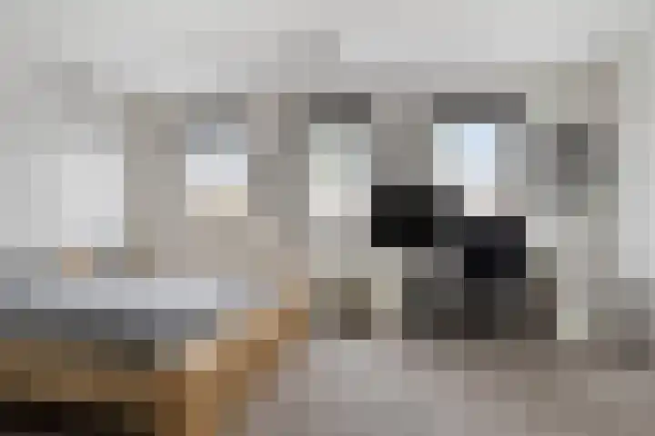 Flamingokade 10 Groningen thumbnail 33
