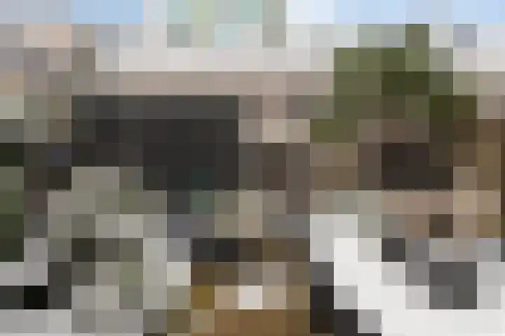 Flamingokade 10 Groningen thumbnail 39