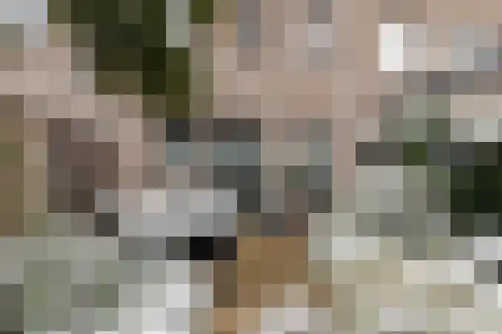 Flamingokade 10 Groningen thumbnail 40