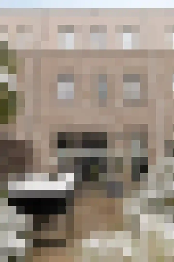 Flamingokade 10 Groningen thumbnail 41