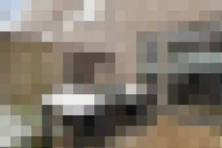 Flamingokade 10 Groningen thumbnail 42