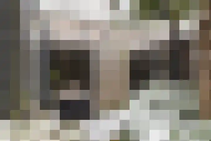 Flamingokade 10 Groningen thumbnail 43