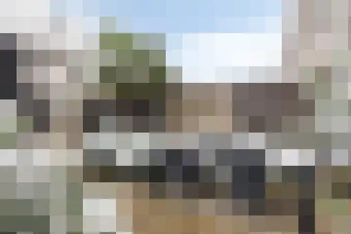 Flamingokade 10 Groningen thumbnail 44