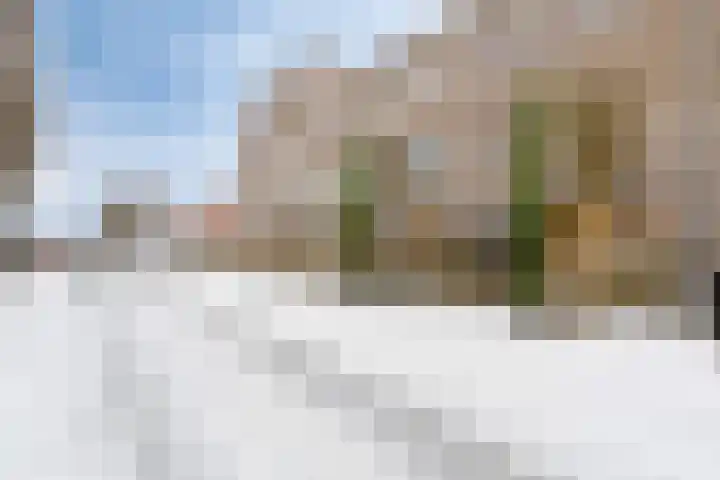 Flamingokade 10 Groningen thumbnail 49