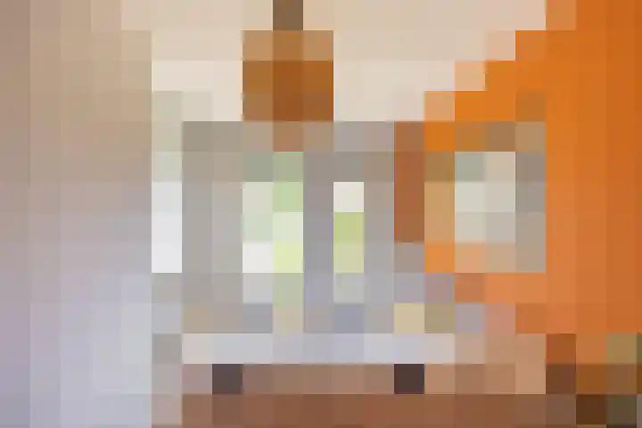Flamingokade 16 Groningen thumbnail 10