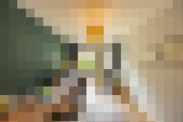 Flamingokade 16 Groningen thumbnail 11