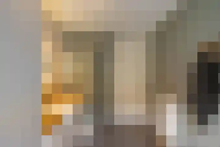 Flamingokade 16 Groningen thumbnail 13
