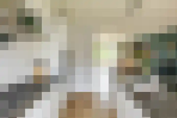 Flamingokade 16 Groningen thumbnail 23