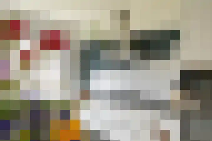 Flamingokade 16 Groningen thumbnail 24