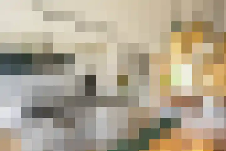 Flamingokade 16 Groningen thumbnail 25
