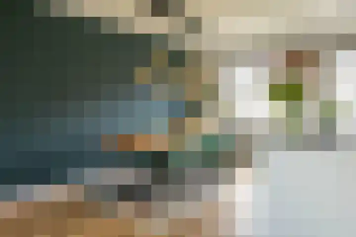 Flamingokade 16 Groningen thumbnail 27