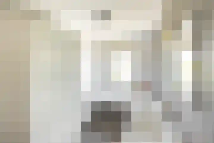 Flamingokade 16 Groningen thumbnail 33