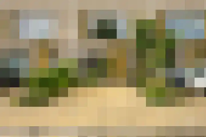 Flamingokade 16 Groningen thumbnail 4