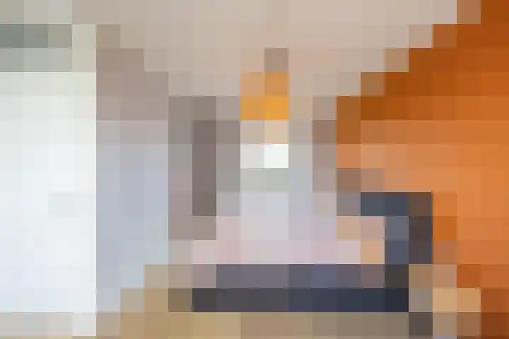 Flamingokade 16 Groningen thumbnail 41
