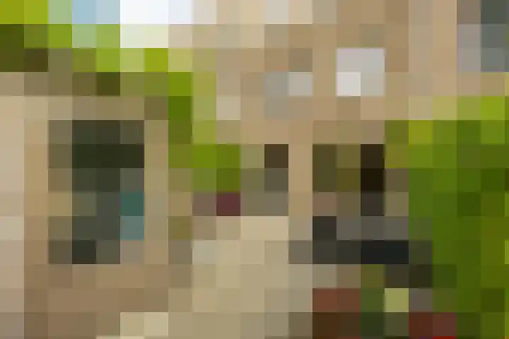 Flamingokade 16 Groningen thumbnail 48
