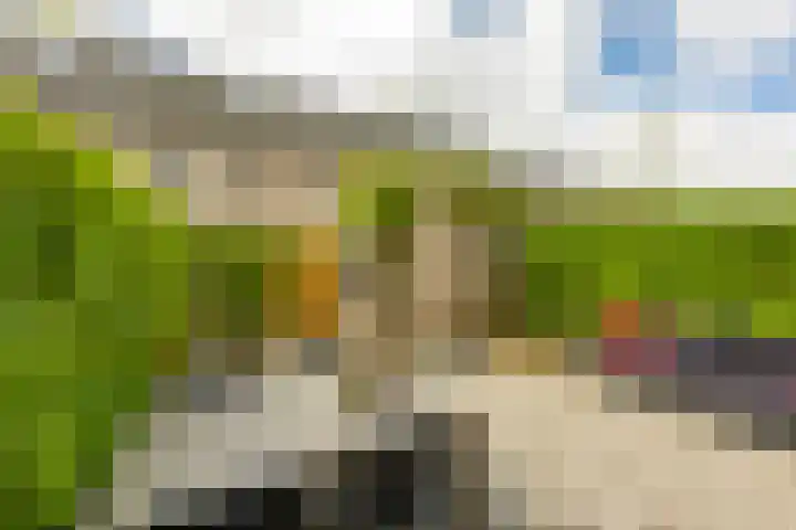 Flamingokade 16 Groningen thumbnail 49