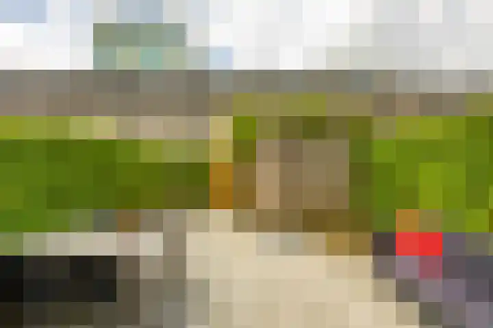 Flamingokade 16 Groningen thumbnail 50