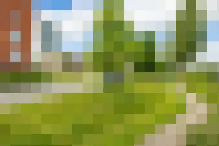 Flamingokade 16 Groningen thumbnail 52