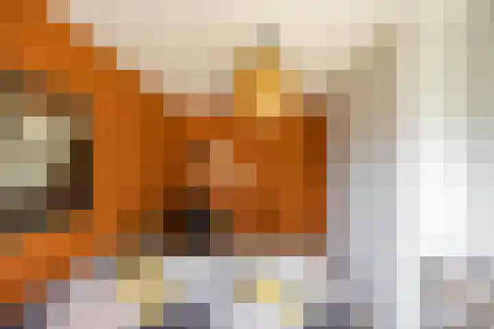 Flamingokade 16 Groningen thumbnail 8