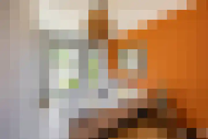 Flamingokade 16 Groningen thumbnail 9