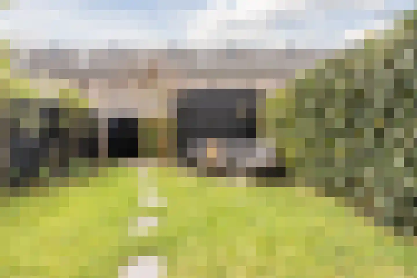 Flamingokade 42 Groningen thumbnail 34