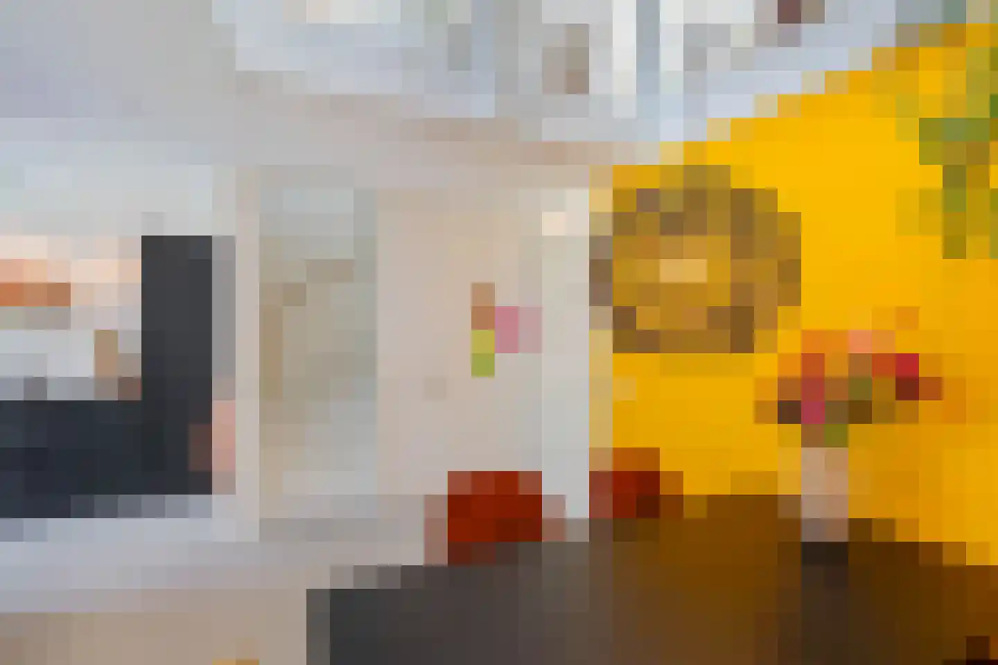 Flamingokade 62 Groningen thumbnail 19