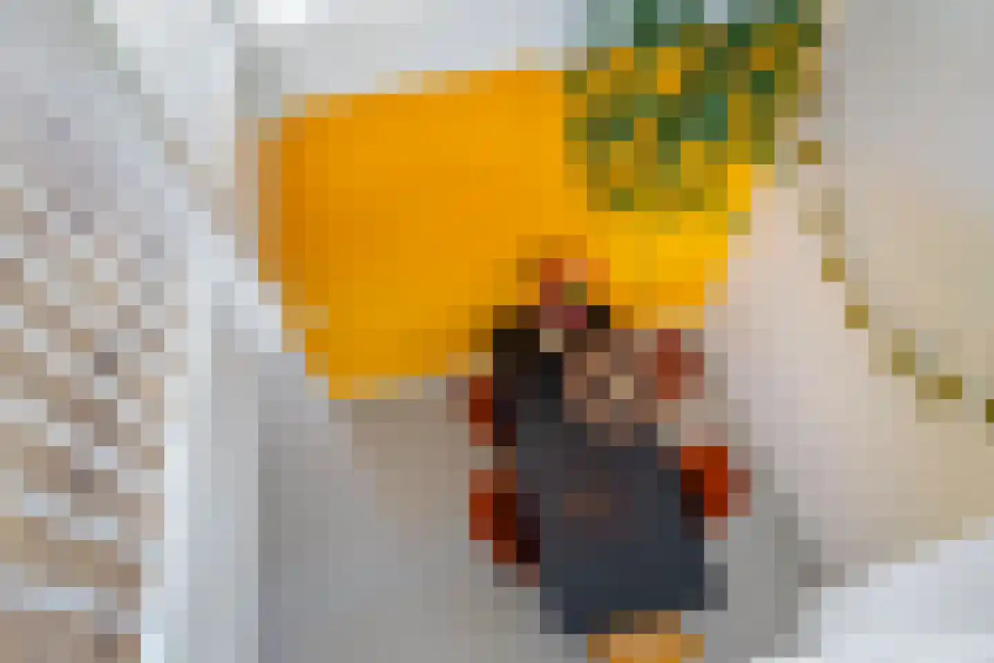 Flamingokade 62 Groningen thumbnail 23