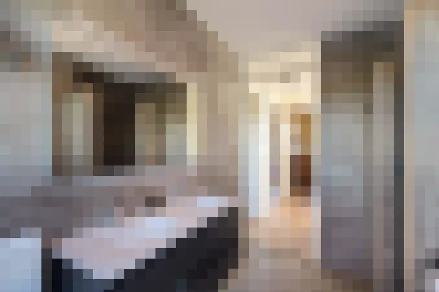 Flamingokade 62 Groningen thumbnail 41