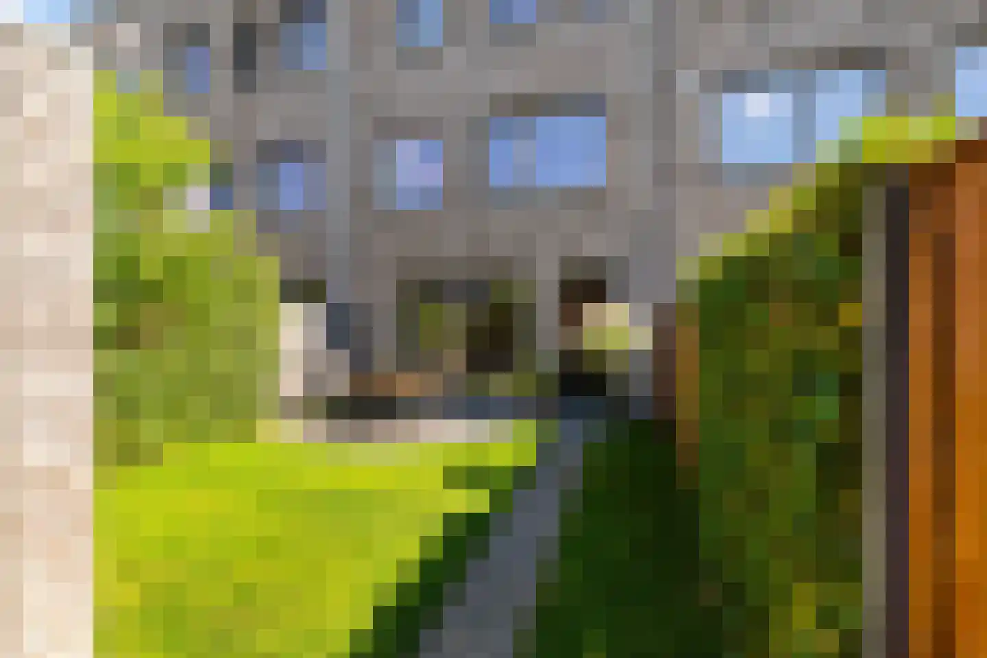 Flamingokade 62 Groningen thumbnail 47