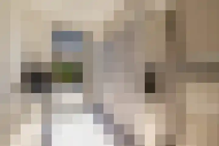 Flamingokade 64 Groningen thumbnail 21