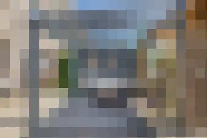 Flamingokade 64 Groningen thumbnail 24
