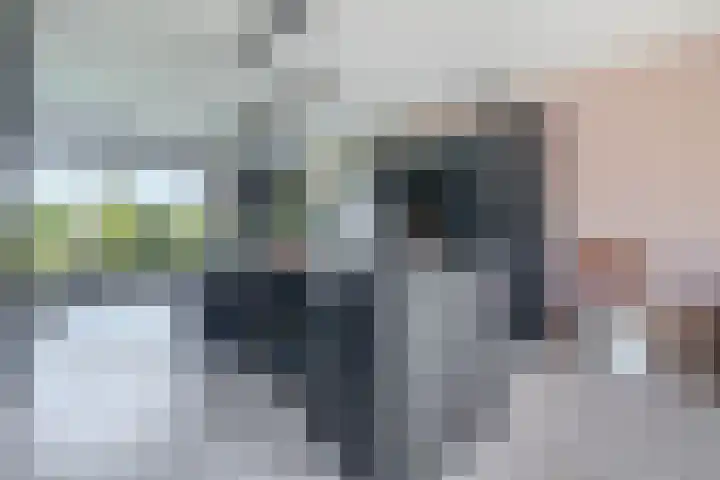 Flamingokade 64 Groningen thumbnail 30