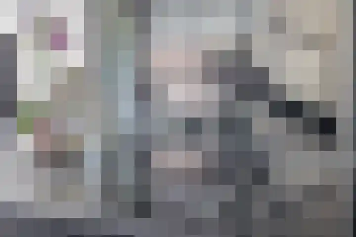 Flamingokade 64 Groningen thumbnail 33