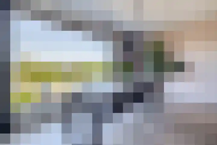 Flamingokade 64 Groningen thumbnail 34