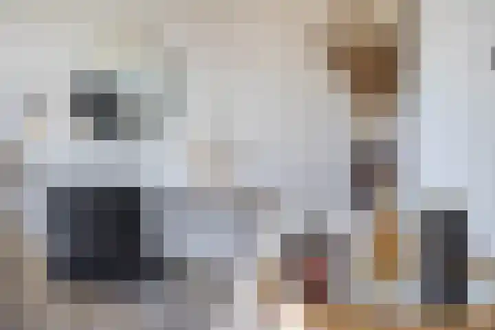 Flamingokade 64 Groningen thumbnail 41