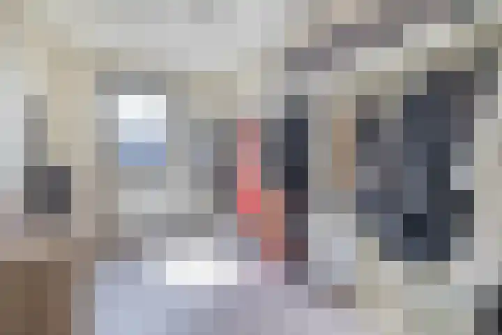 Flamingokade 64 Groningen thumbnail 46