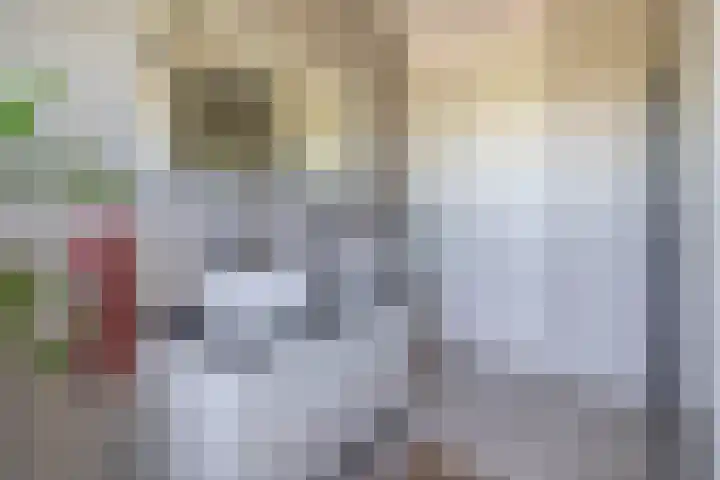 Flamingokade 64 Groningen thumbnail 49