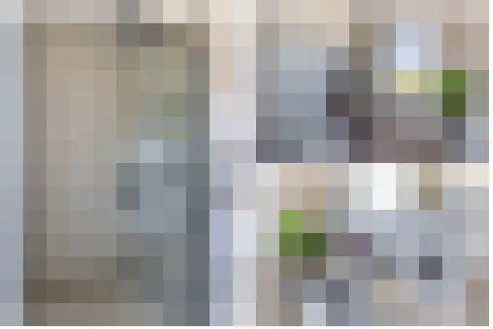 Flamingokade 64 Groningen thumbnail 50