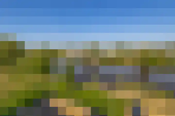 Flamingokade 64 Groningen thumbnail 56