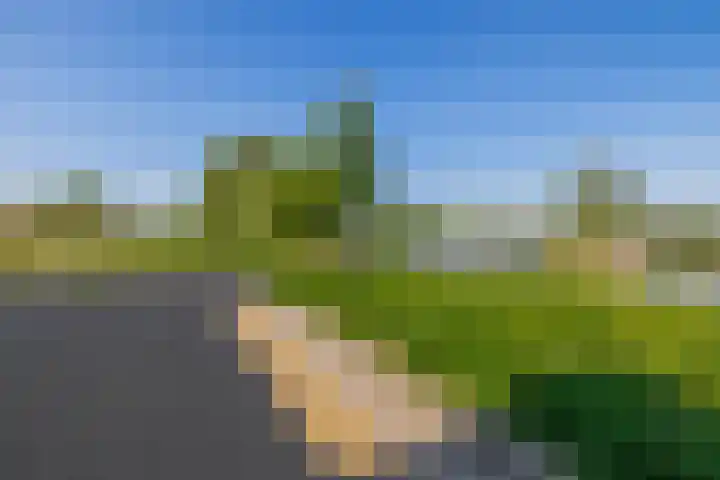 Flamingokade 64 Groningen thumbnail 59