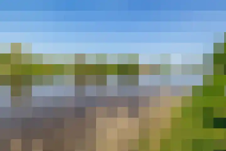 Flamingokade 64 Groningen thumbnail 60